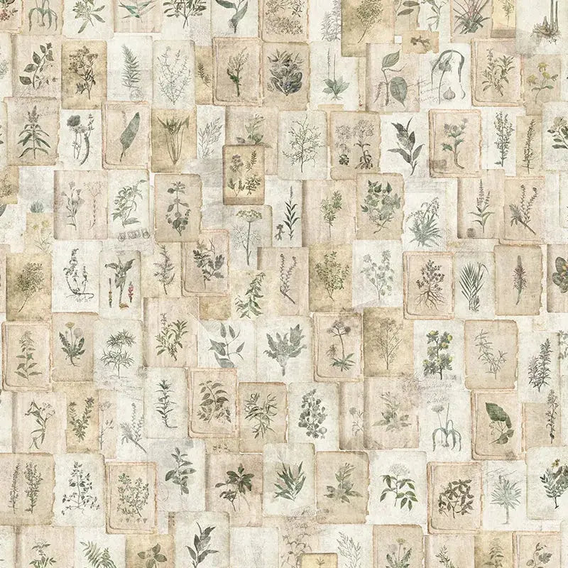Vintage Herbarium Wallpaper Vladila