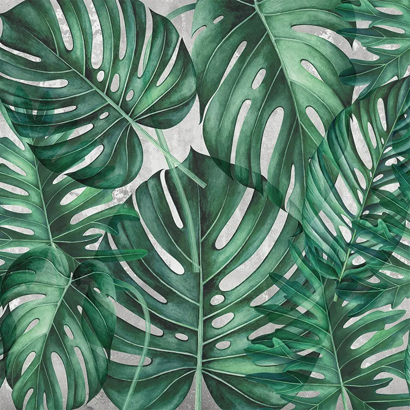 Green Philodendron Wallpaper Vladila