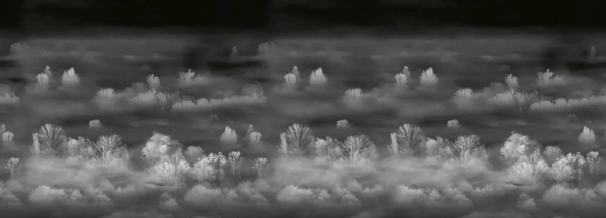Foggy Landscape Nightview Wallpaper Vladila