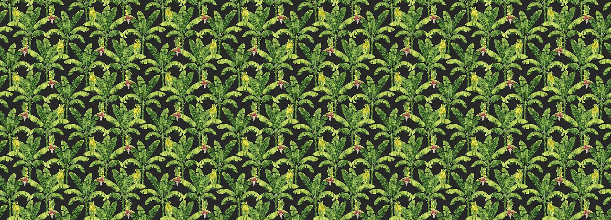 Banana leaf Wallpaper Vladila