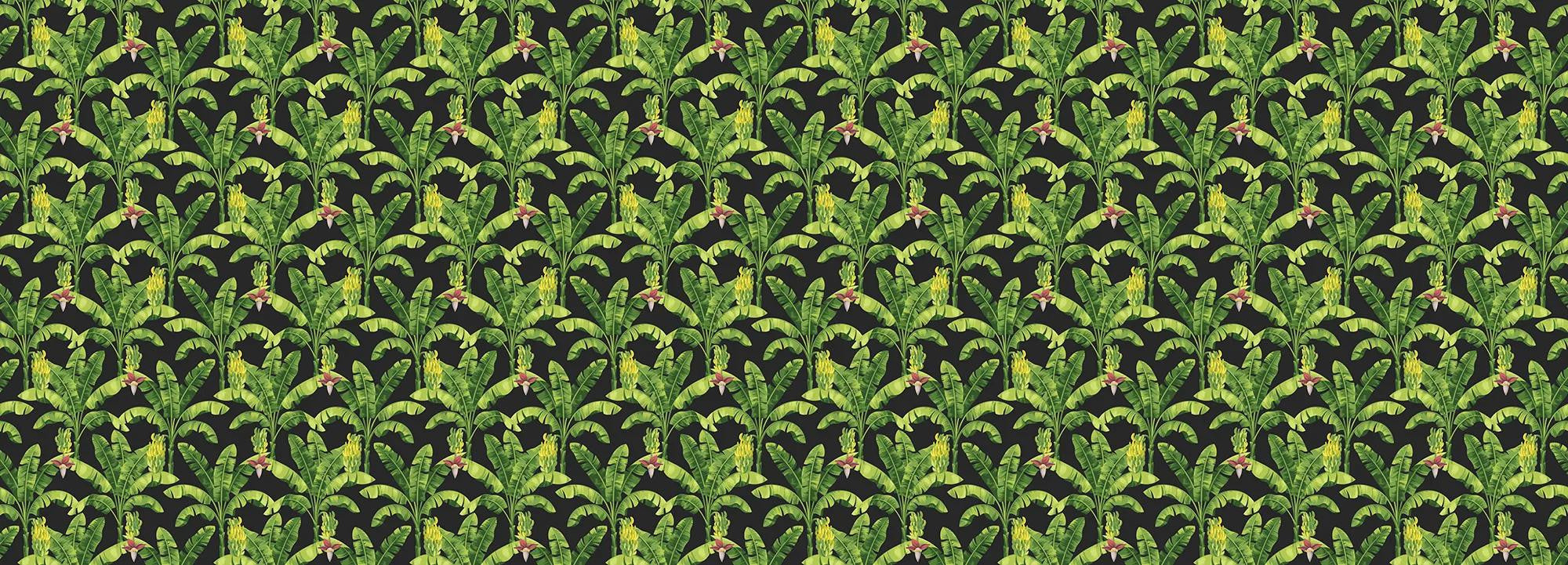 Banana leaf Wallpaper Vladila
