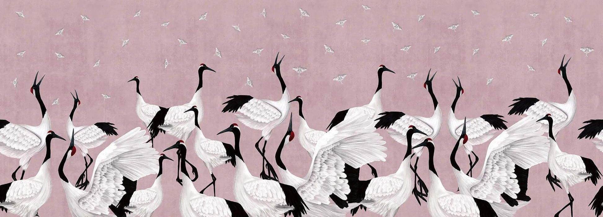Grus Japonesis in Pink Wallpaper Vladila