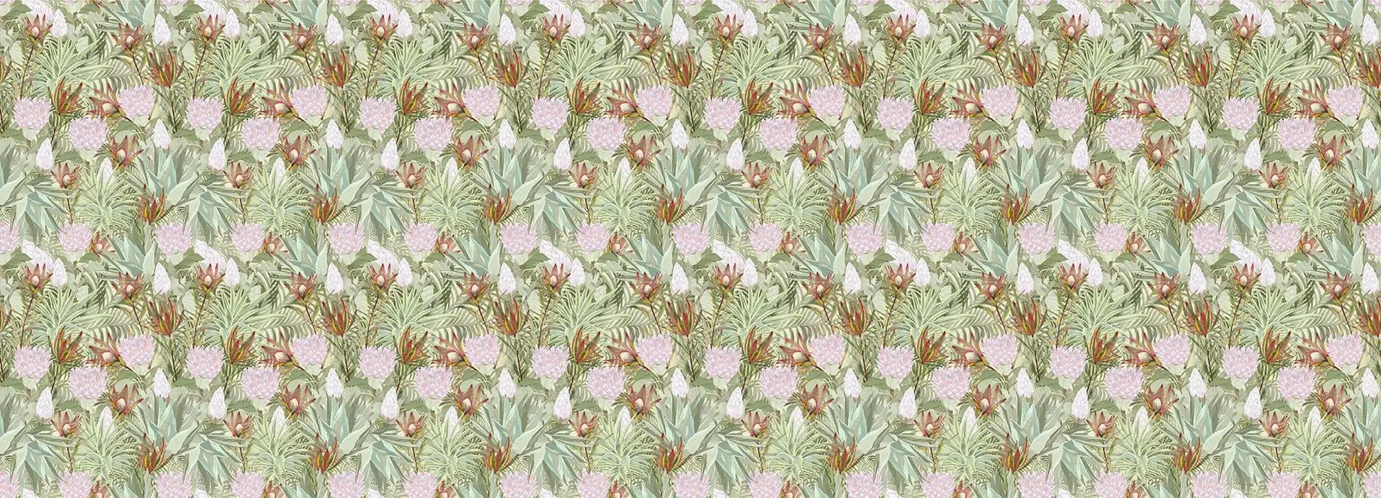 Conebush Safari Wallpaper Vladila