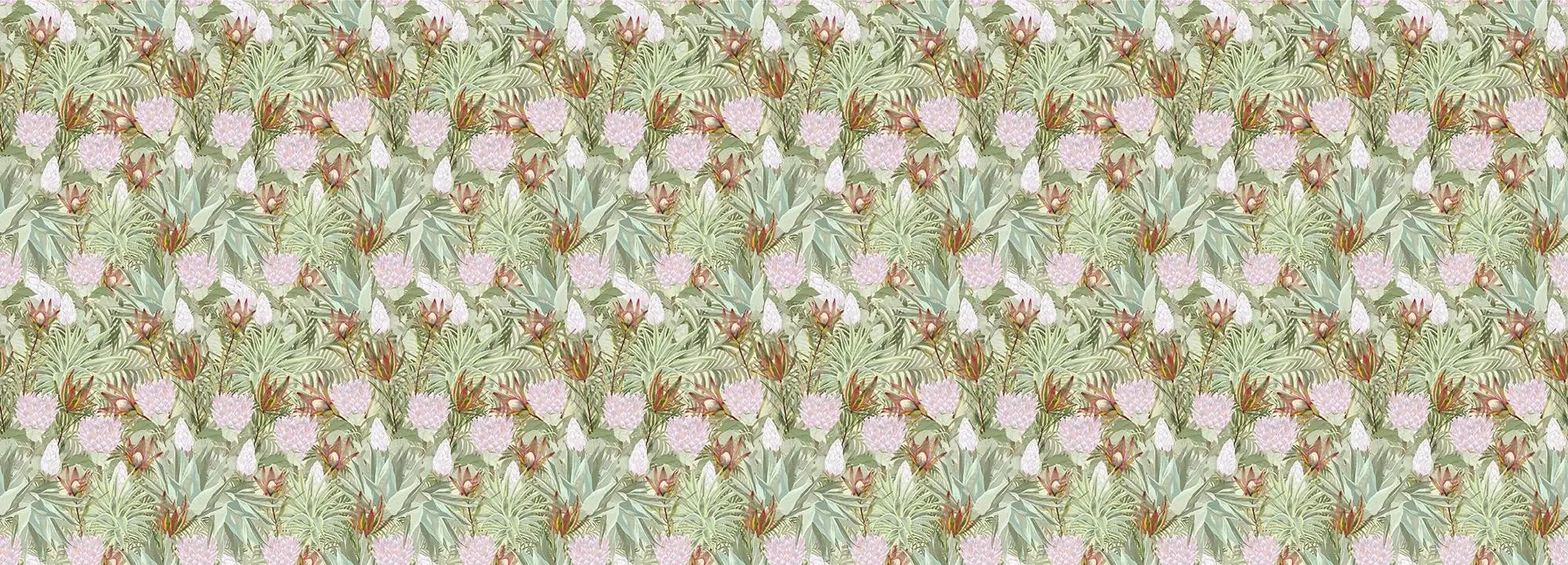 Conebush Safari Wallpaper Vladila