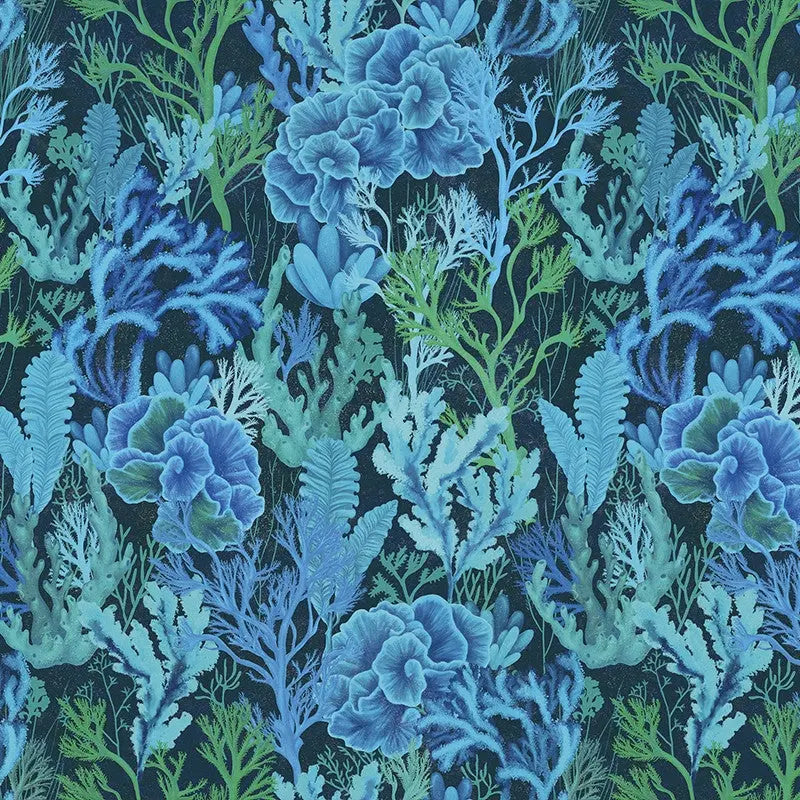 Corallium Cuvier blue Wallpaper Vladila