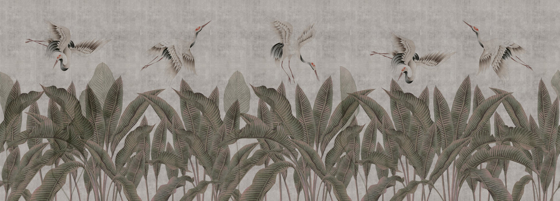 Wild Cranes Wallpaper Vladila