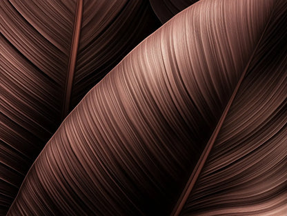 Polished Cacao Leaf Mural - WallCreatives