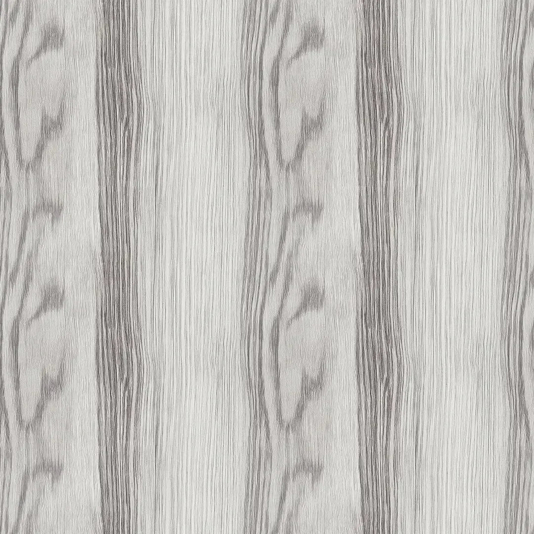 Silver Birch Forest Whisper - WallCreatives