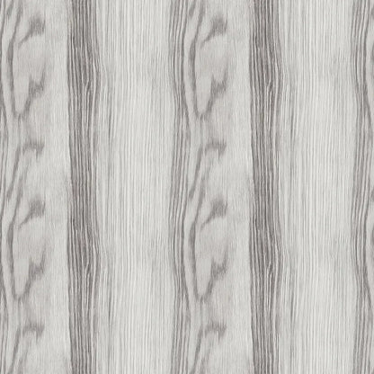 Silver Birch Forest Whisper - WallCreatives