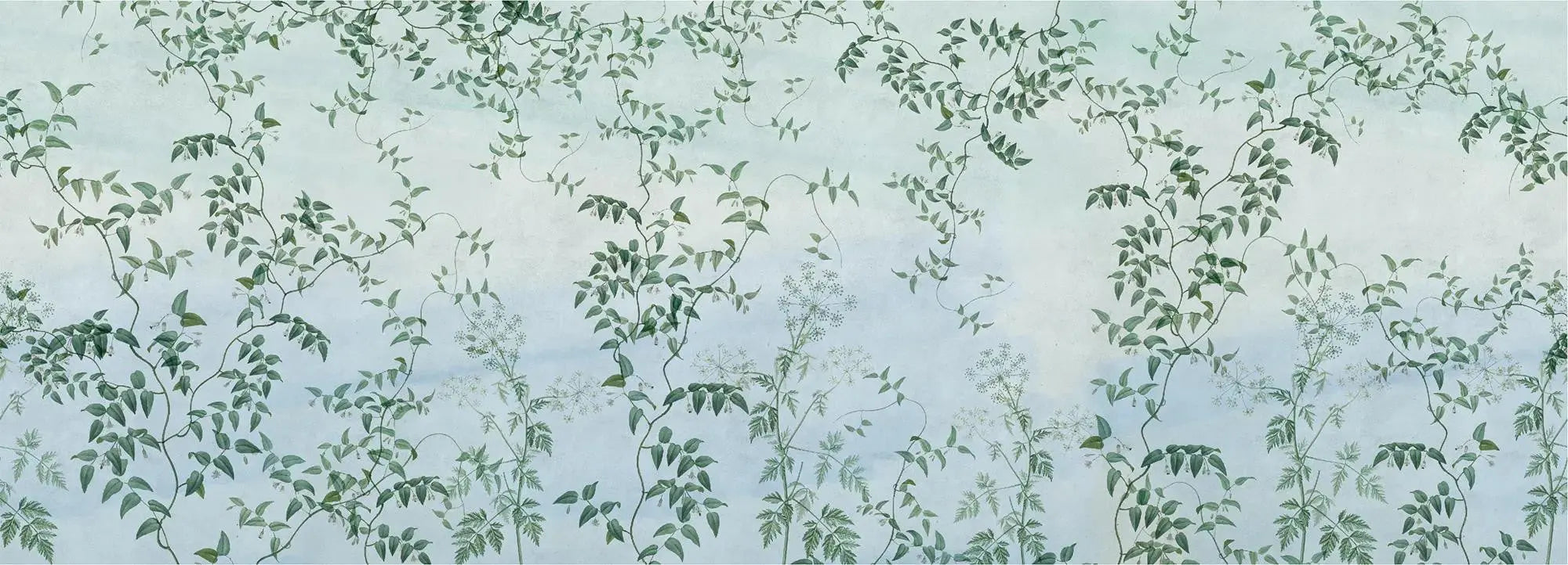 Pastel Jasmine Wallpaper Vladila
